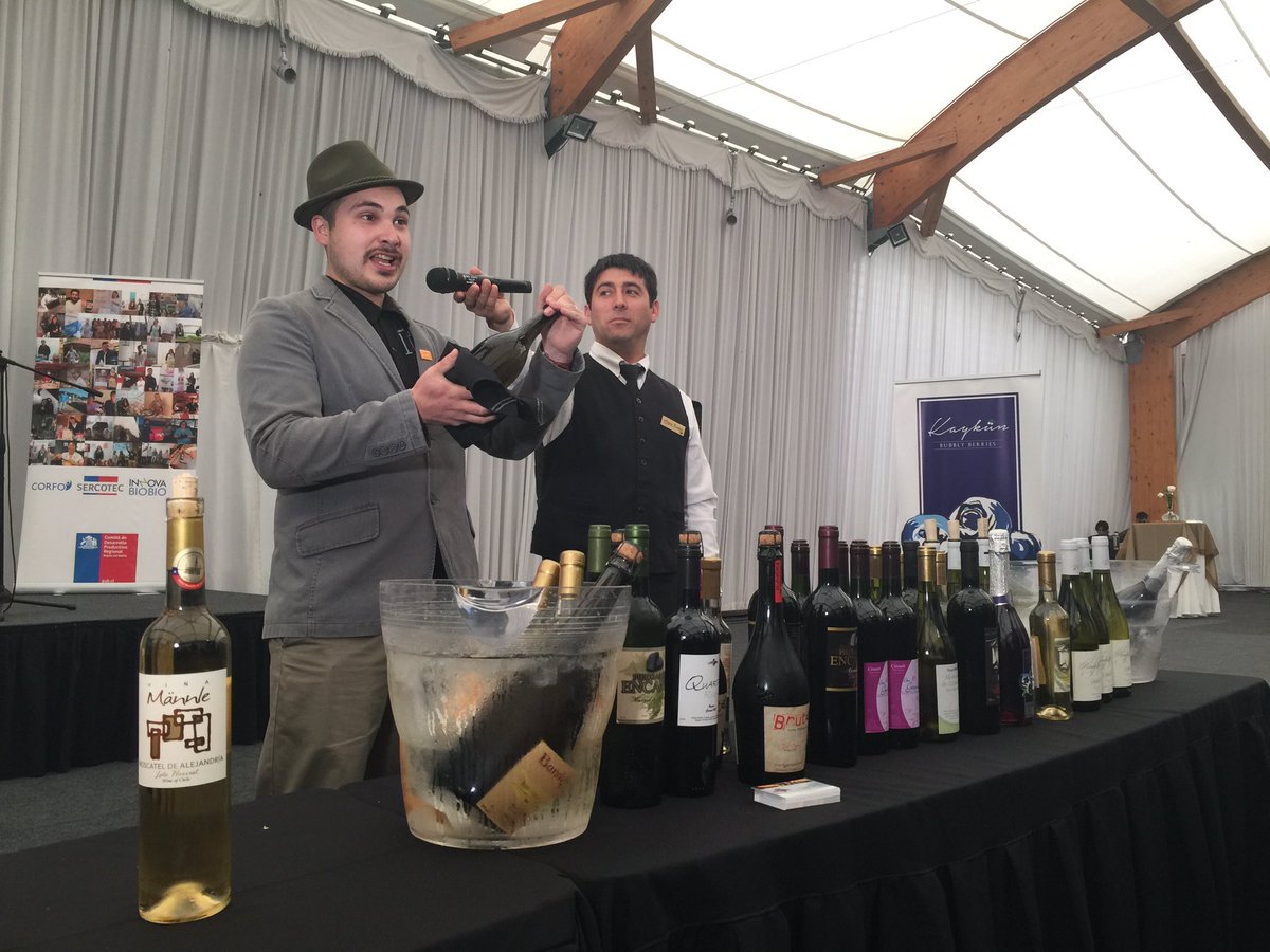 Proyecto Abordaje apoyado por <a href="/ProChile/">ProChile</a> y Asexma Biobío busca ingresar vinos Valle Itata y productos gourmet a mercado colombiano