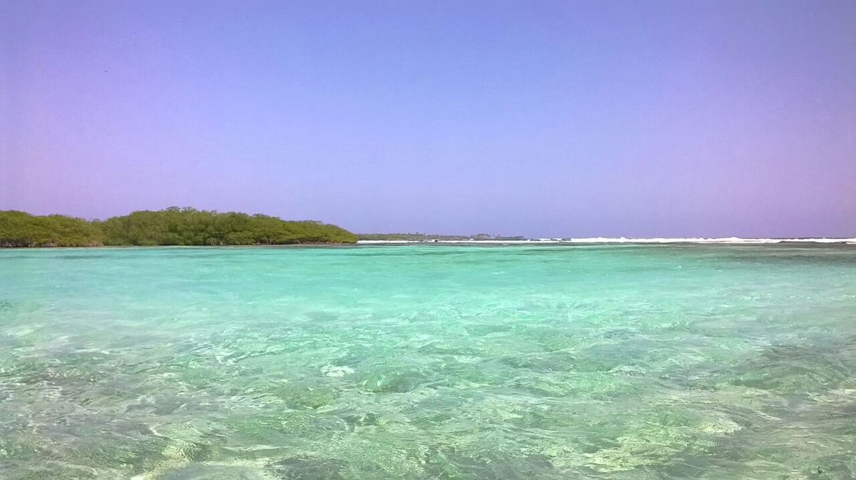 setursvenezuela's tweet photo. Morrocoy un lugar que se describe como un paraiso Terrenal. https://t.co/KpbEBnmSvA