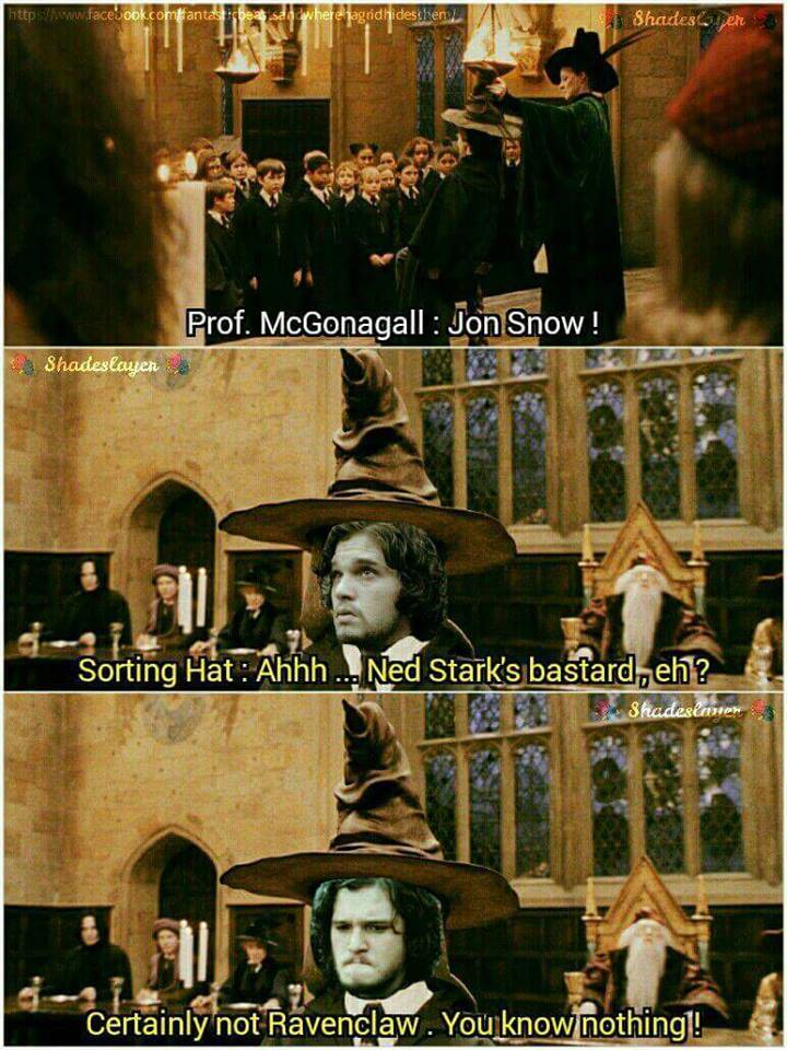 RFandom's tweet image. This is relevant. Grab the Jon Snow tee here: buff.ly/2ef3V7n #GameOfThrones #HouseStark