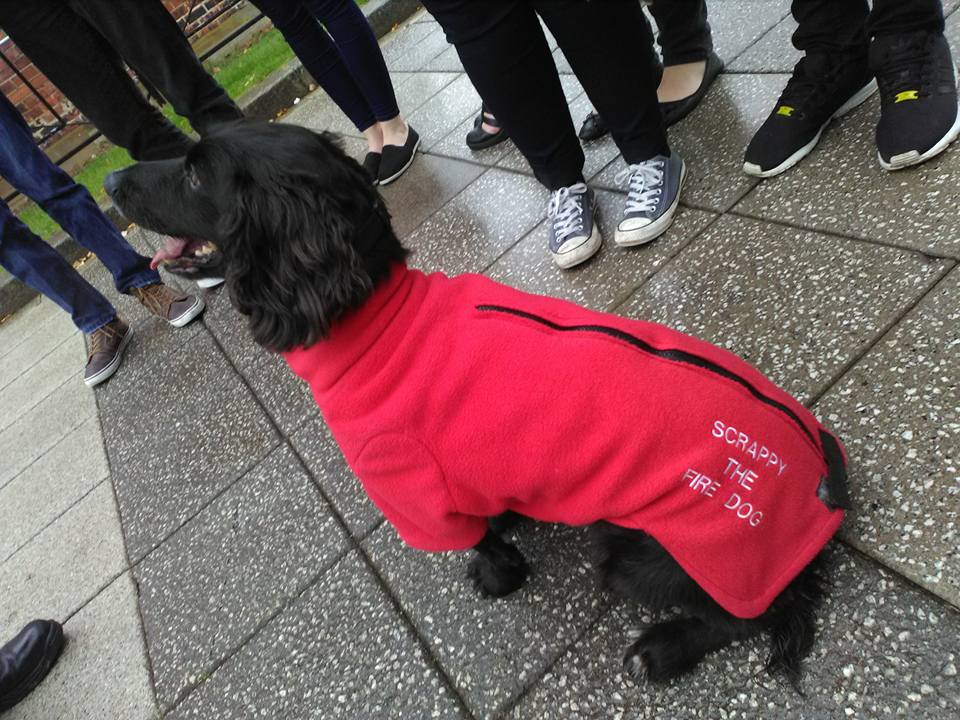 TeesUninews's tweet photo. Students @TU_SSE met recuperating @ScrappyFireDog https://t.co/wBAXRqPj3X