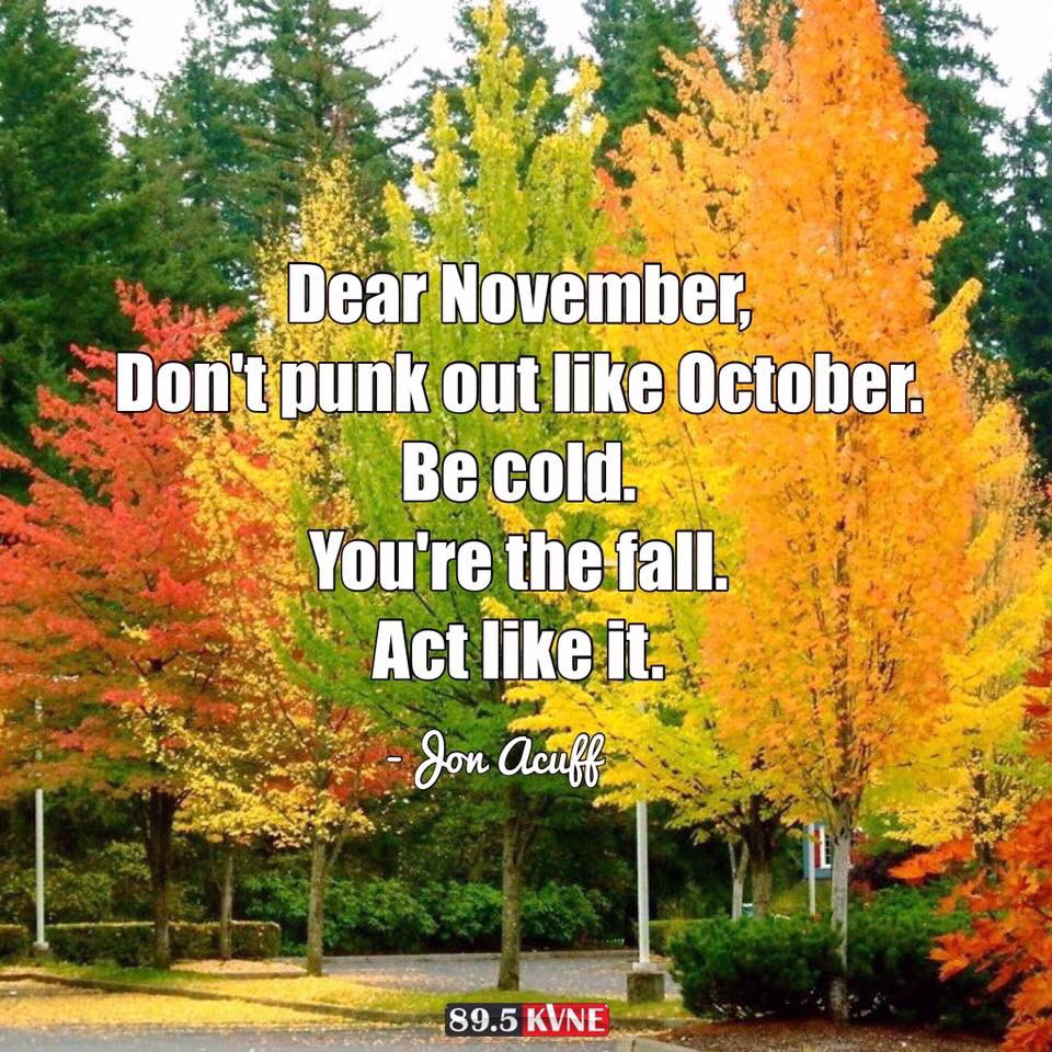 Ashdhud's tweet image. #bringbackfall