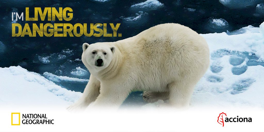 ACCIONA's tweet photo. Nos aliamos con National Geographic para impulsar la lucha contra el cambio climático #YEARSproject https://t.co/RcqI4OPStG https://t.co/0qbJOUDJ9J