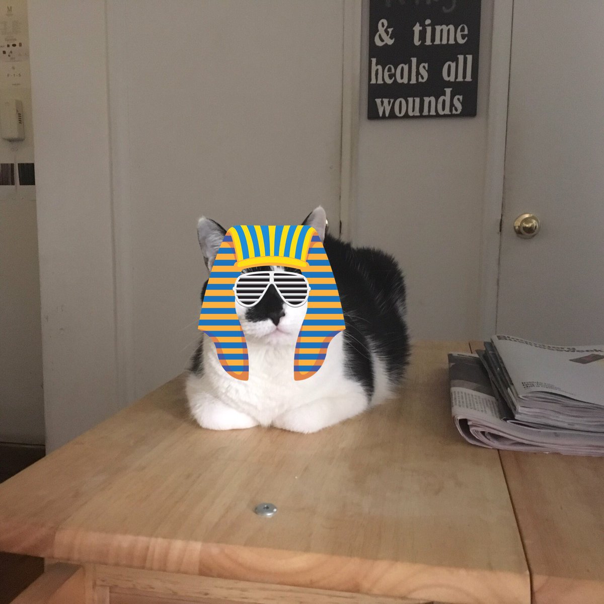 Sir James tweet media