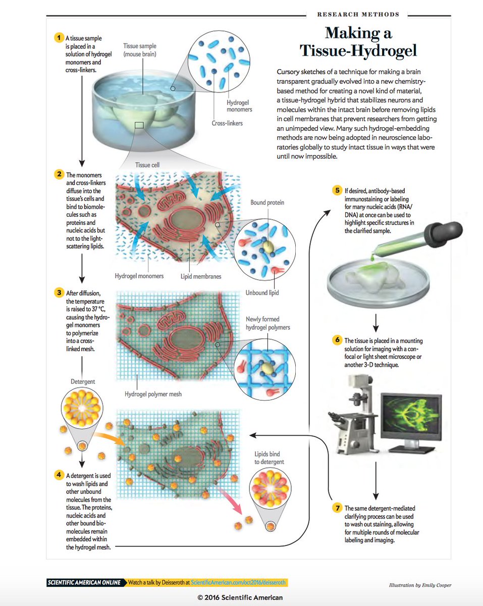 Ariane Tom, PhD | 🧠🤖🦾 tweet media