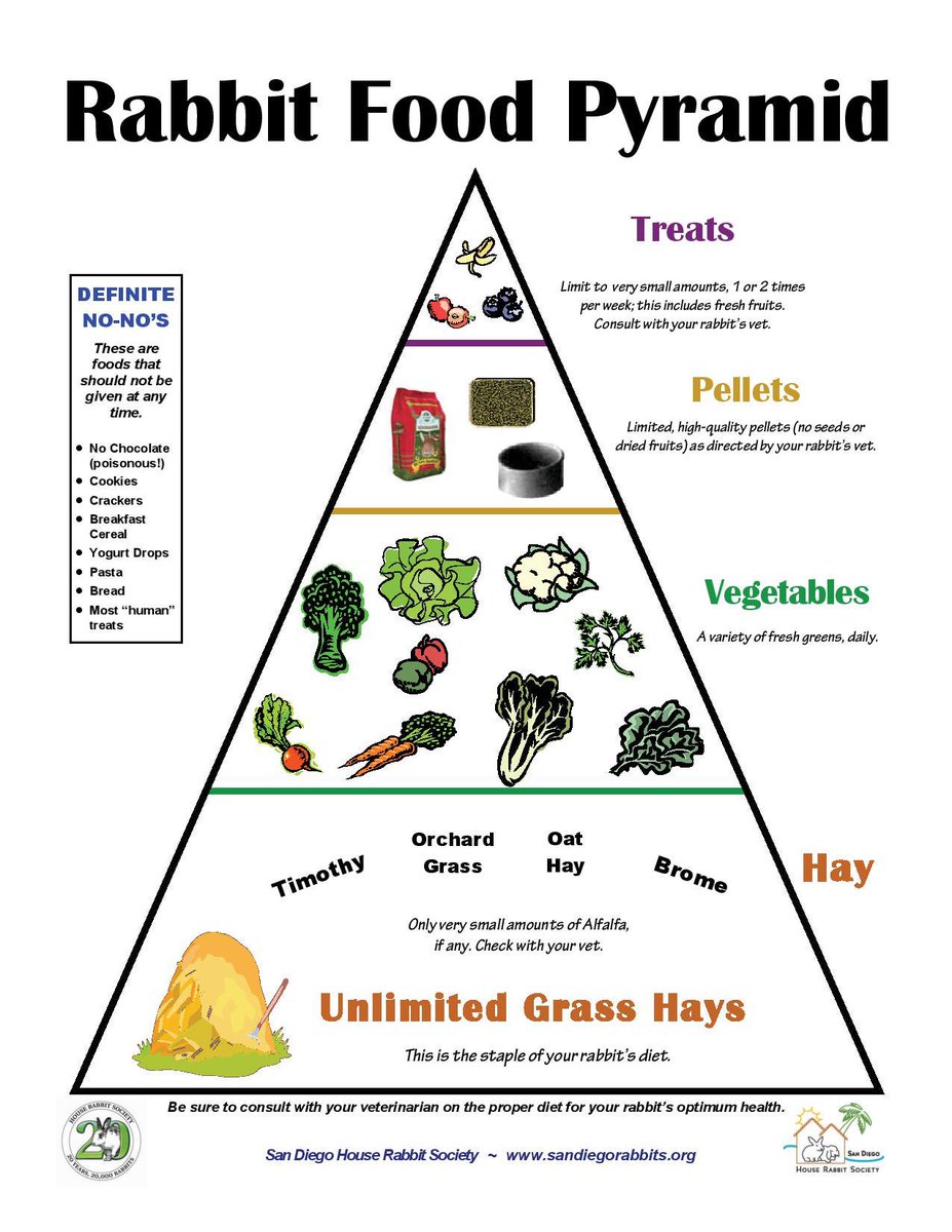 Precious Ways (@precioustroubl1) on Twitter photo If you cannot supply your animals that are for sale proper diet you should sell them!! <a href="/ruralkingsupply/">Rural King</a> #36 If you cannot supply your animals that are for sale proper diet you should sell them!! <a href="/ruralkingsupply/">Rural King</a> #36