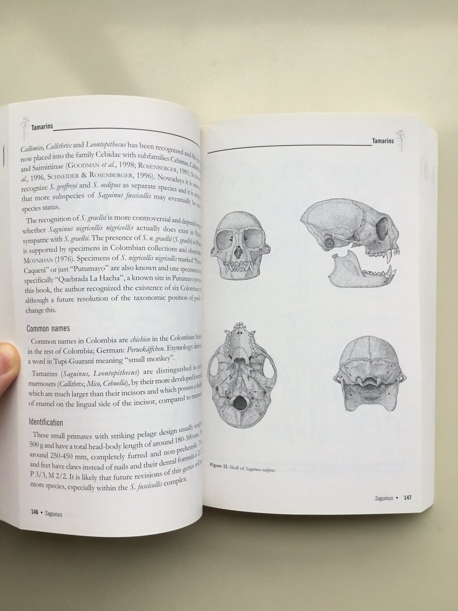 pdf Ритмическая Азбука