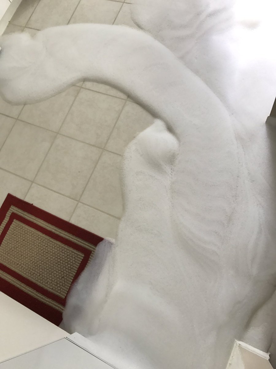carlyalexis_92's tweet photo. Well this is how my morning is going #dishwasherfail https://t.co/fJFmYTfxQm