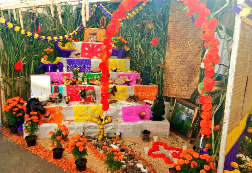 Altar de muertos organizando por estudiantes plantel Santa María del Oro representando a CECyTEN en evento municipal #DíaDeMuertos <a href="/ccecyte/">Coordinación CECyTEs</a>