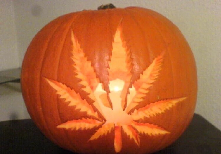 HempVibes's tweet photo. How my Halloween went https://t.co/Kgq8PscB97