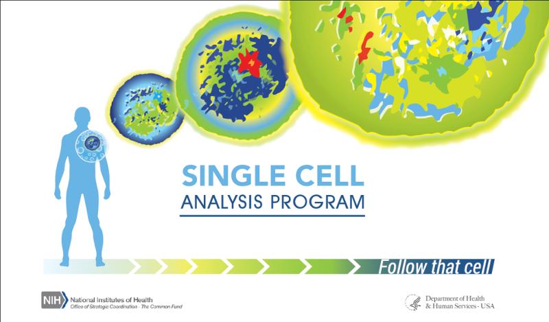 healalerts's tweet photo. NIH announces Follow that Cell Challenge finalists ... https://t.co/8titI4DLGQ https://t.co/cIPM20Cywx
