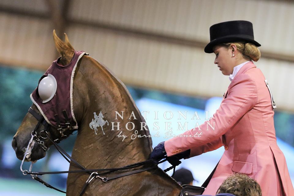 TNH1865's tweet photo. ASHAV 2016 — #nationalhorseman #ashav #virginia #saddlebred #hackney #friesian https://t.co/b65thni47q