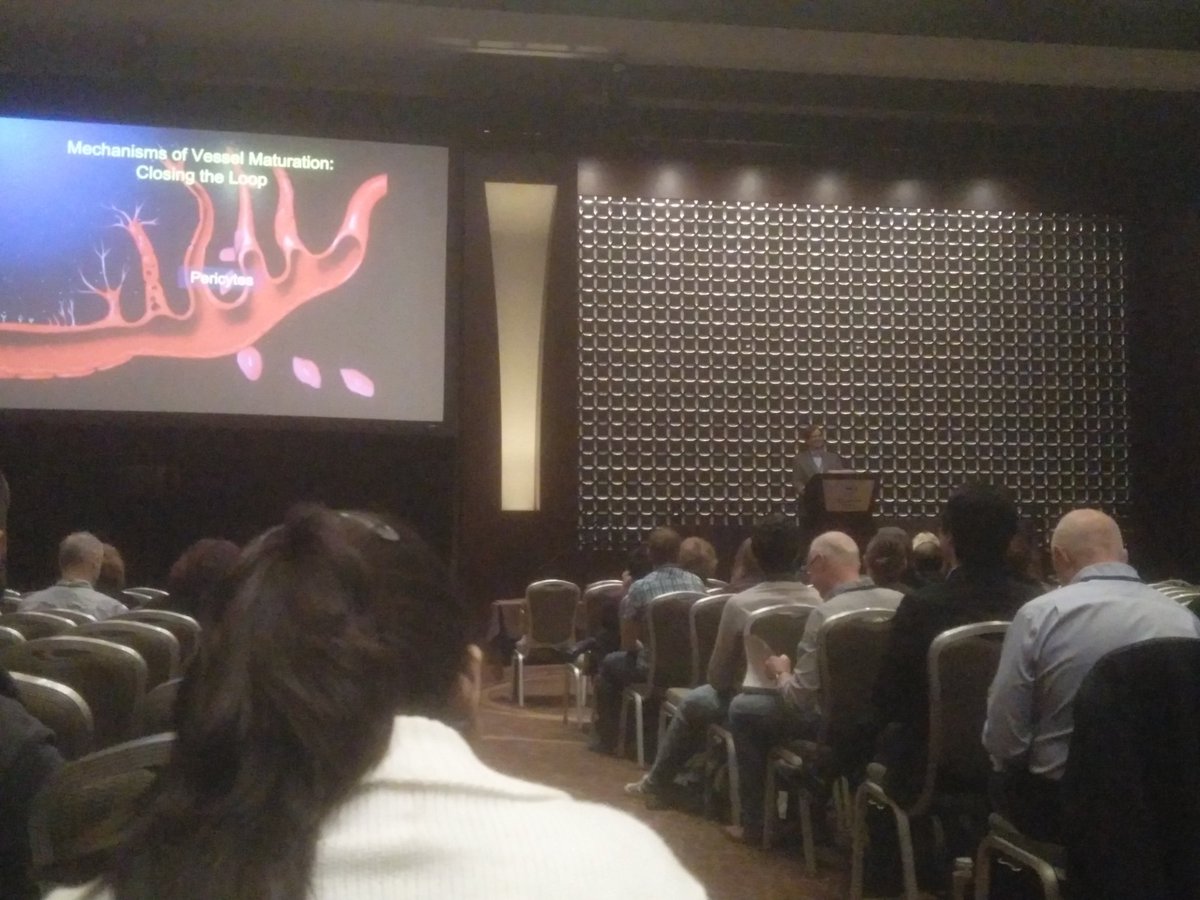 LanTHDang's tweet photo. Great talk by @kitaj_angio about the role of Notch signalling in pericytes #ivbm2016 https://t.co/0dNL5Xzb5H