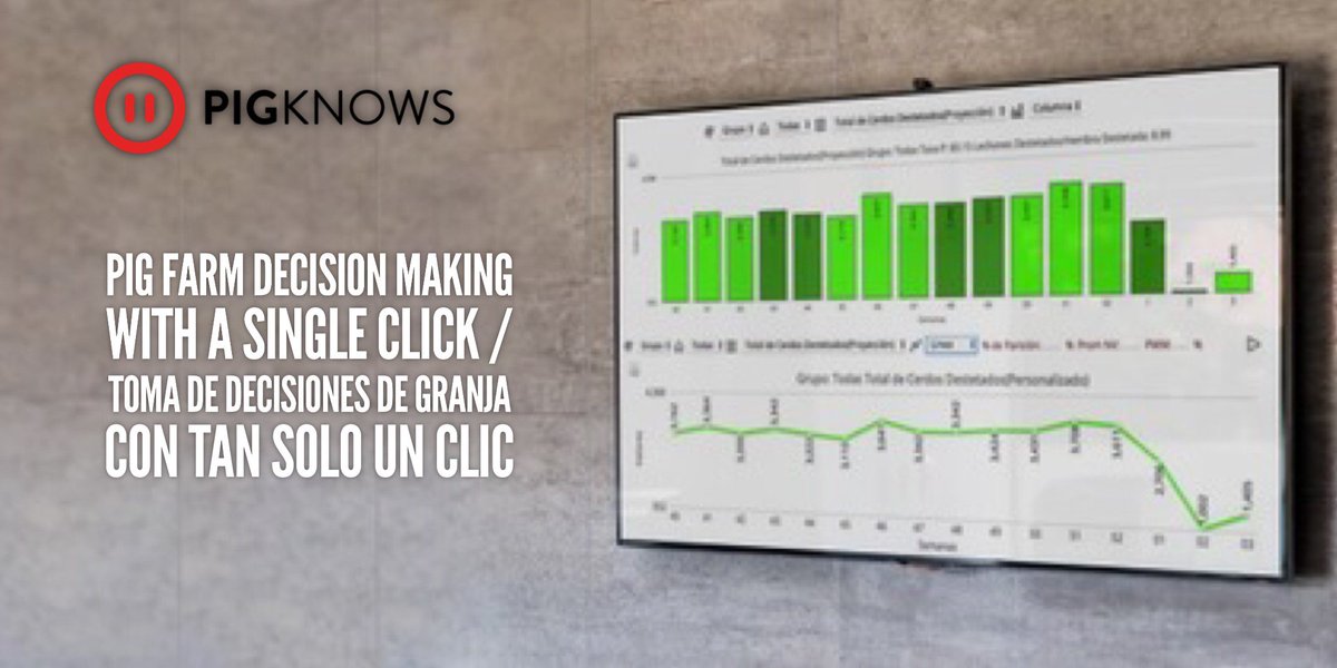 PigKnows's tweet photo. We made it simple, no installation with a single click/ Lo hacemos simple, sin instalación con tan solo un clic https://t.co/LrnzDbGNQD https://t.co/huB1uEx2IN