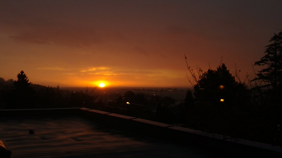 daveprothero's tweet photo. Beauty light this am through the rain. #comoxvalley #wetnovember #rainyfall #sunandrain https://t.co/3sycuNKmBS