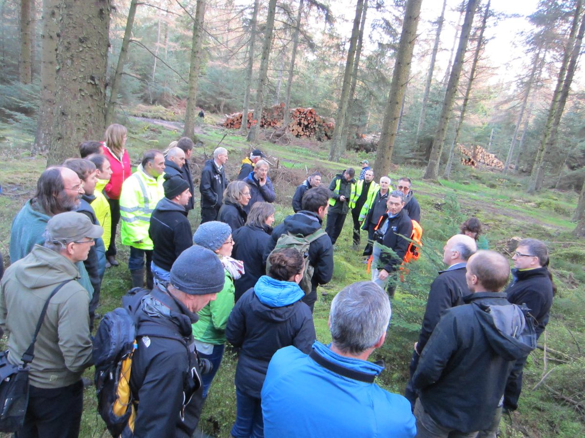 LajlaCashNRW's tweet photo. Tree health day - looking at uk trial sites in Clocaenog, underplanted with silver fir @NatResWales #ukforesters #keepitclean #welshforests https://t.co/i0xNXSqLxe