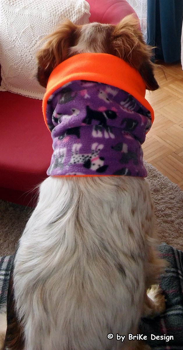 BrikeDesign's tweet photo. https://t.co/9MvT7u3u12 #stylischer #Hunde-#Schlauchschal #krankehunde #bronchitishunde #warm #Winterzeit #Weihnachten #geschenk https://t.co/zS49Iajx38