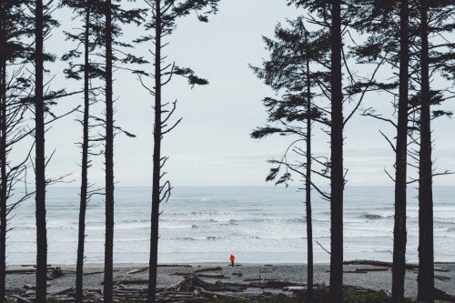 coffee_n_mtns's tweet photo. Olympic National Park, WA https://t.co/g0Q3h2SrWO