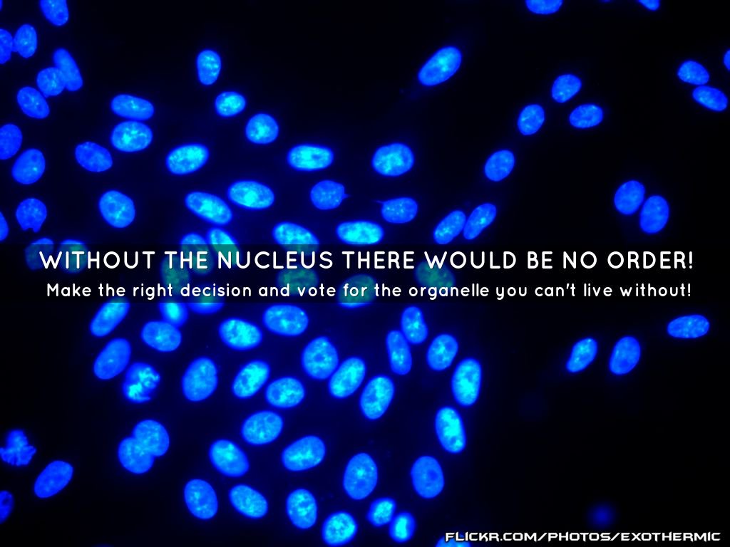 youjustgotnuced's tweet photo. #NucleusForPres https://t.co/KwznUK11vZ