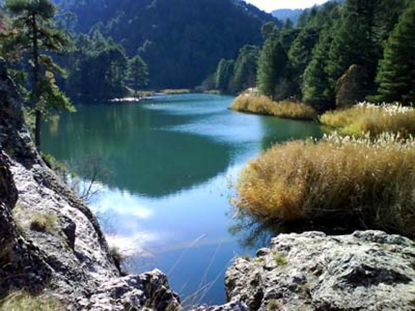 “No sigas por donde el camino te lleve, avanza por donde no hay camino y deja un rastro” Ralph Waldo Emerson

alorustico.com/casa.php?idcas…