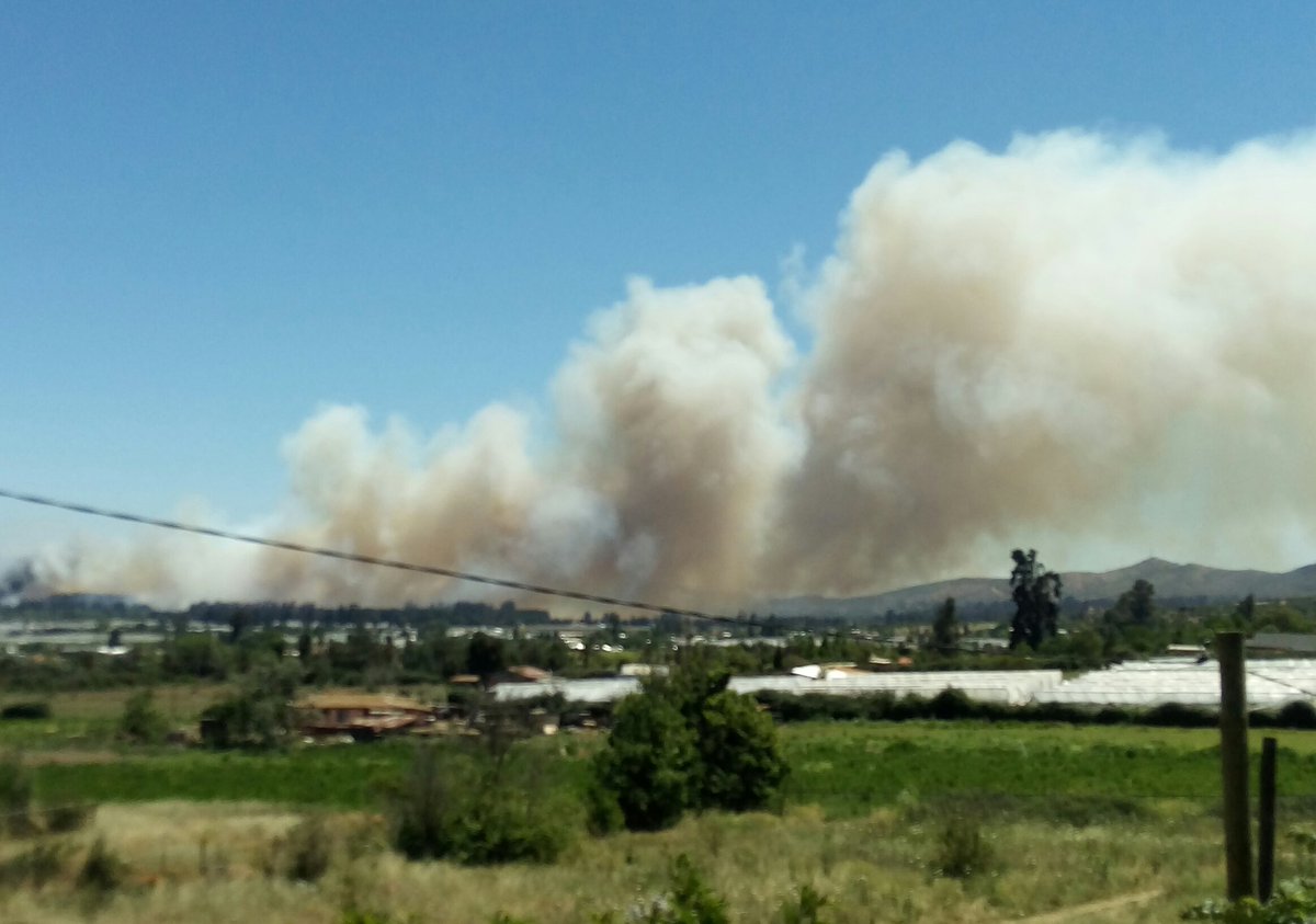 FENOMENORADIAL's tweet photo. #AHORA #URGENTE #LIMACHE: Gran incendio en sector Los Laureles solicita apoyo aéreo, Bomberos Quillota y Conaf por peligro de casas. https://t.co/8GY2OlExt4