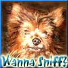 BlogDogIt's tweet image. Get Sniffed! 
blogdogit.com/article.php?st… … #SpotLight #OldSchool #BlogDirectory