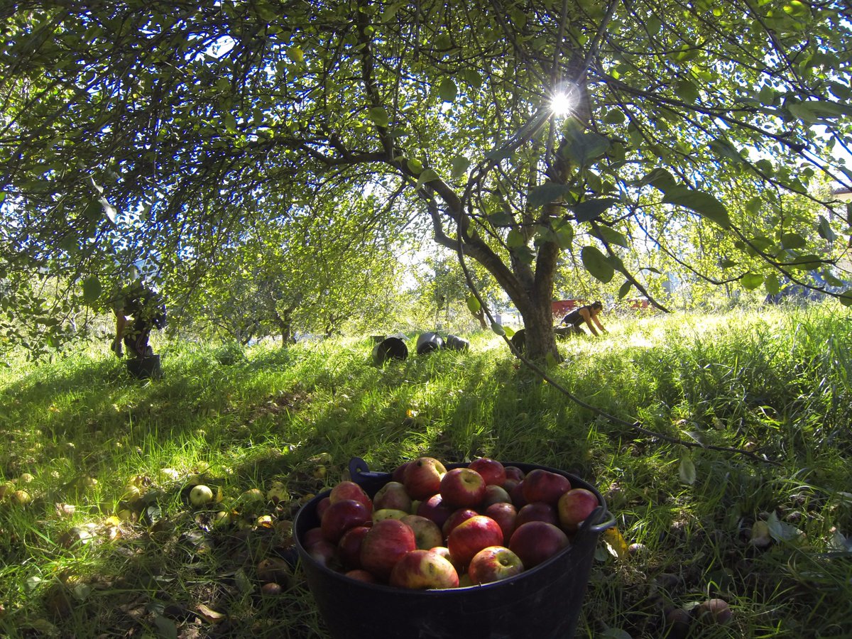 AUPA HI! Experiences of happiness tweet media