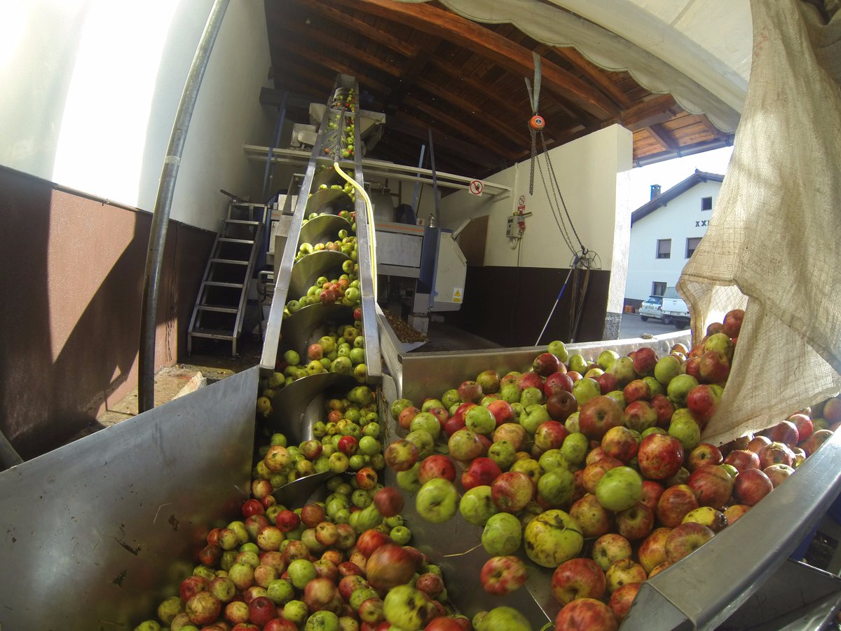 AUPA HI! Experiences of happiness tweet media