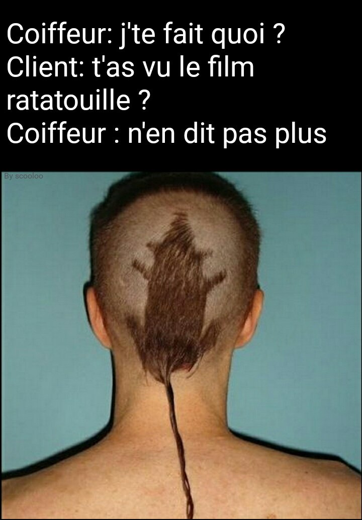 scooloo97one's tweet photo. Mdrrr 😂😂😂 https://t.co/R3ACMxIpMV