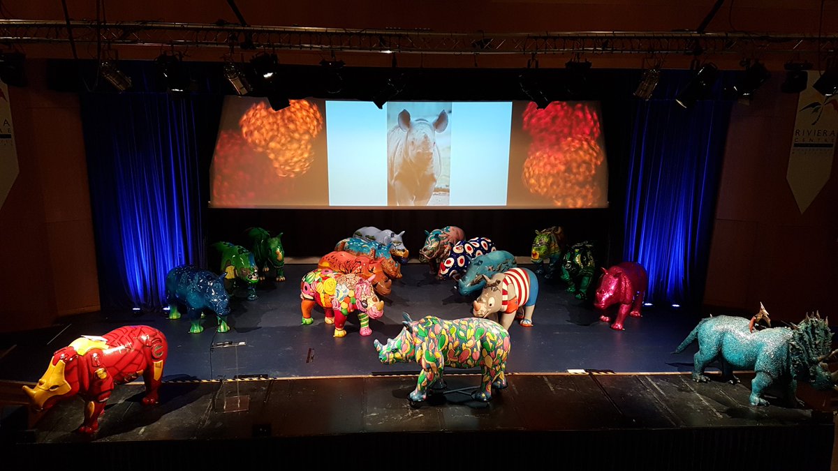 We're all ready for tonight's charity fundraising auction! Dig deep - buy a rhino to help save a species!