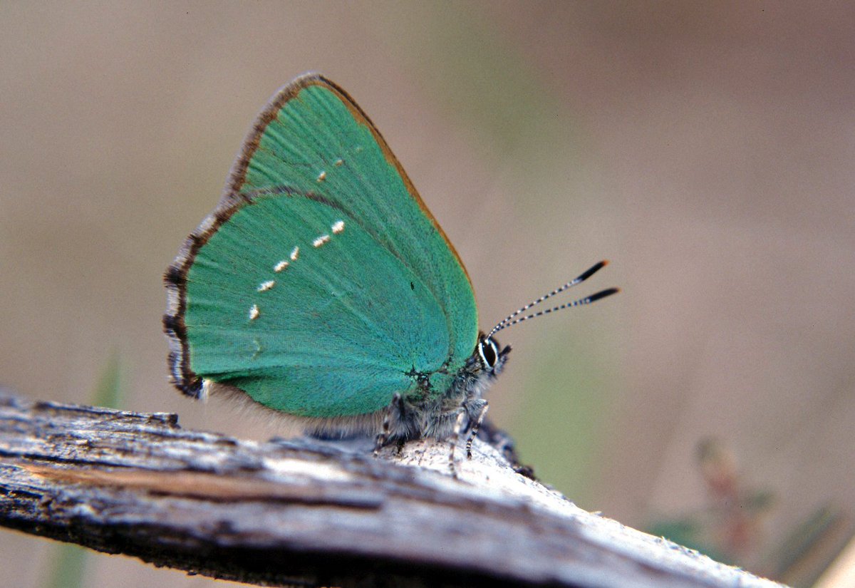 EU_Commission's tweet image. €222 million for 144 green and low-carbon innovative projects - List of projects: europa.eu/!NT44mx #LIFE_Programme