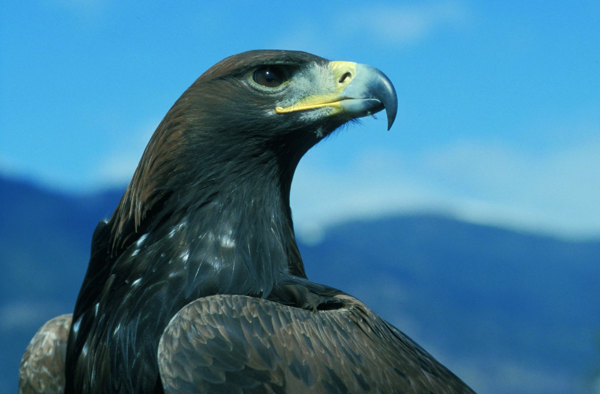 EU_Commission's tweet image. €222 million for 144 green and low-carbon innovative projects - List of projects: europa.eu/!NT44mx #LIFE_Programme