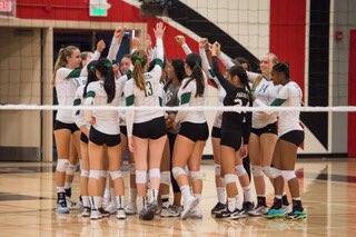 Palo Alto High School Athletics tweet media