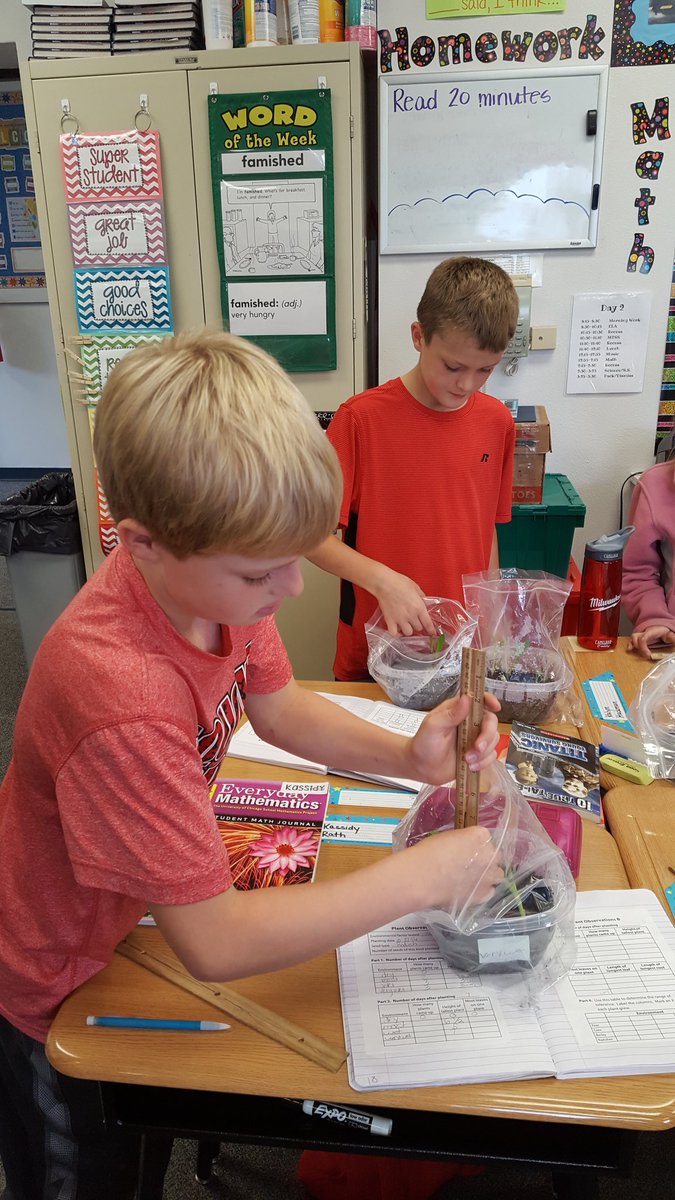 heyteach4's tweet photo. Testing water and salt tolerance of different plants! #4thgradescientists @DCSVikings https://t.co/hl6m3IR5aS