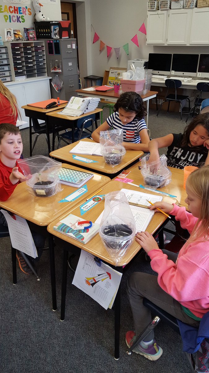 heyteach4's tweet photo. Testing water and salt tolerance of different plants! #4thgradescientists @DCSVikings https://t.co/hl6m3IR5aS