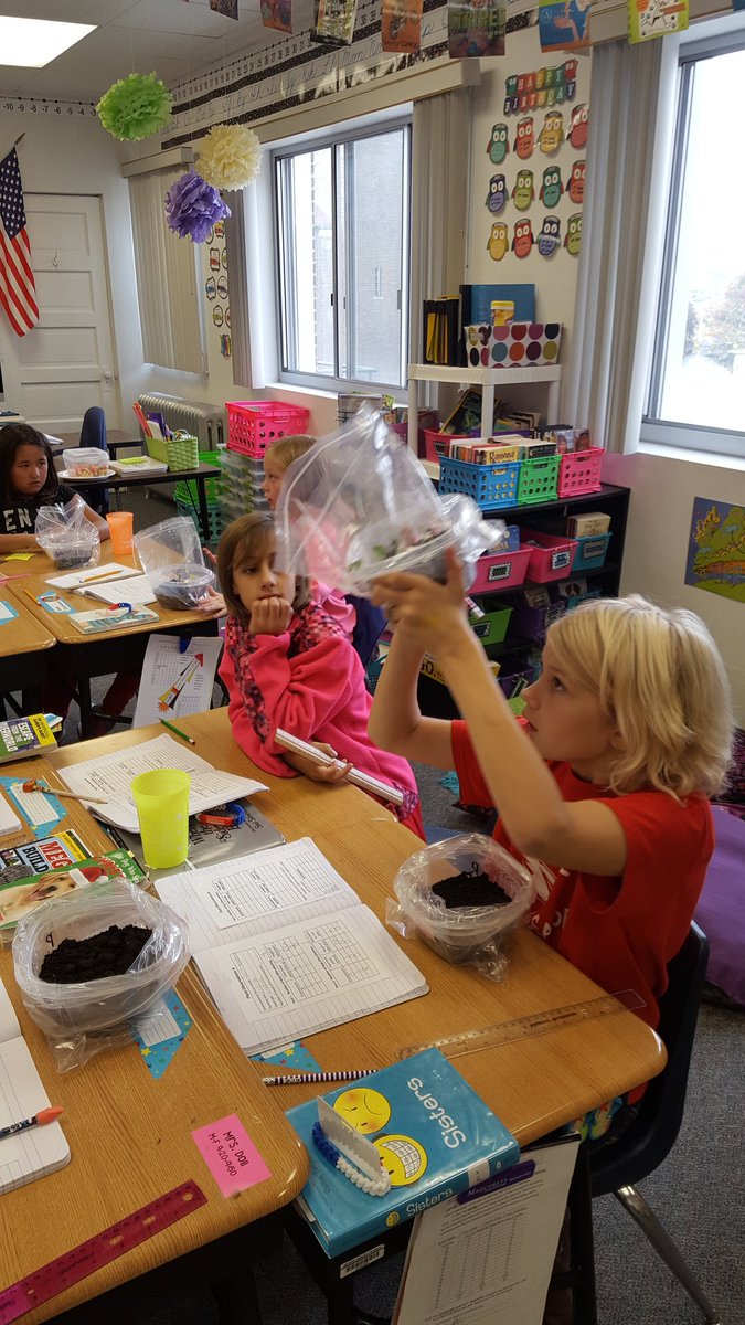 heyteach4's tweet photo. Testing water and salt tolerance of different plants! #4thgradescientists @DCSVikings https://t.co/hl6m3IR5aS