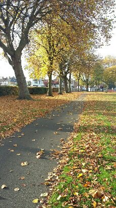 deborahharries's tweet photo. Delighted @BhamTrees4Life &amp; @BhamCityCouncil will plant fruit trees &amp; 'jamming' hedge in #AcocksGreenRecreationGround in Spring 2017 https://t.co/7WGZopJNGI