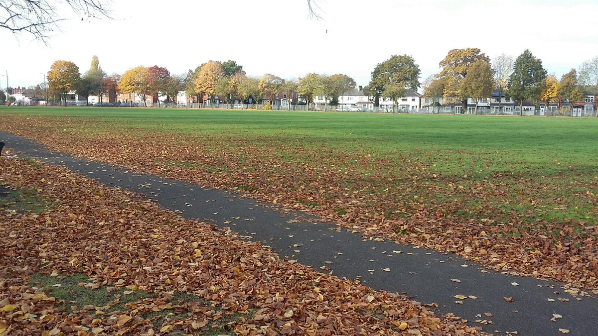 deborahharries's tweet photo. Delighted @BhamTrees4Life &amp; @BhamCityCouncil will plant fruit trees &amp; 'jamming' hedge in #AcocksGreenRecreationGround in Spring 2017 https://t.co/7WGZopJNGI