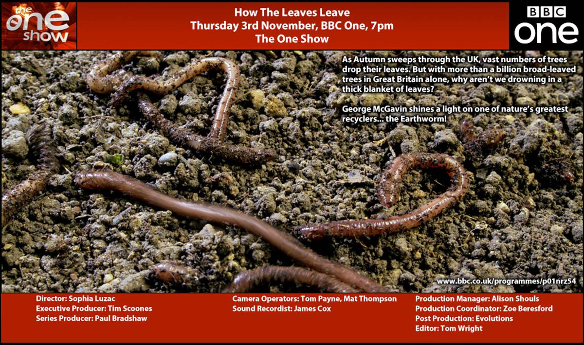 matthompsontv's tweet photo. Catch my cameo with Mr George Mcgavin on the One Show tonight. Getting down and dirty with earthworms! https://t.co/AtfRRuW7YJ
