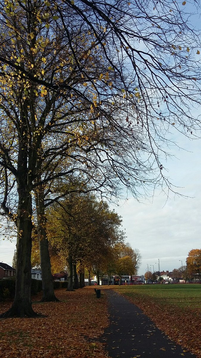 deborahharries's tweet photo. Please join first Friends of #AcocksGreenRecreationGround meeting on Thursday 17 November @ 7pm @ The Grange Social Club, in Broad Road https://t.co/2R0WF61Kwh