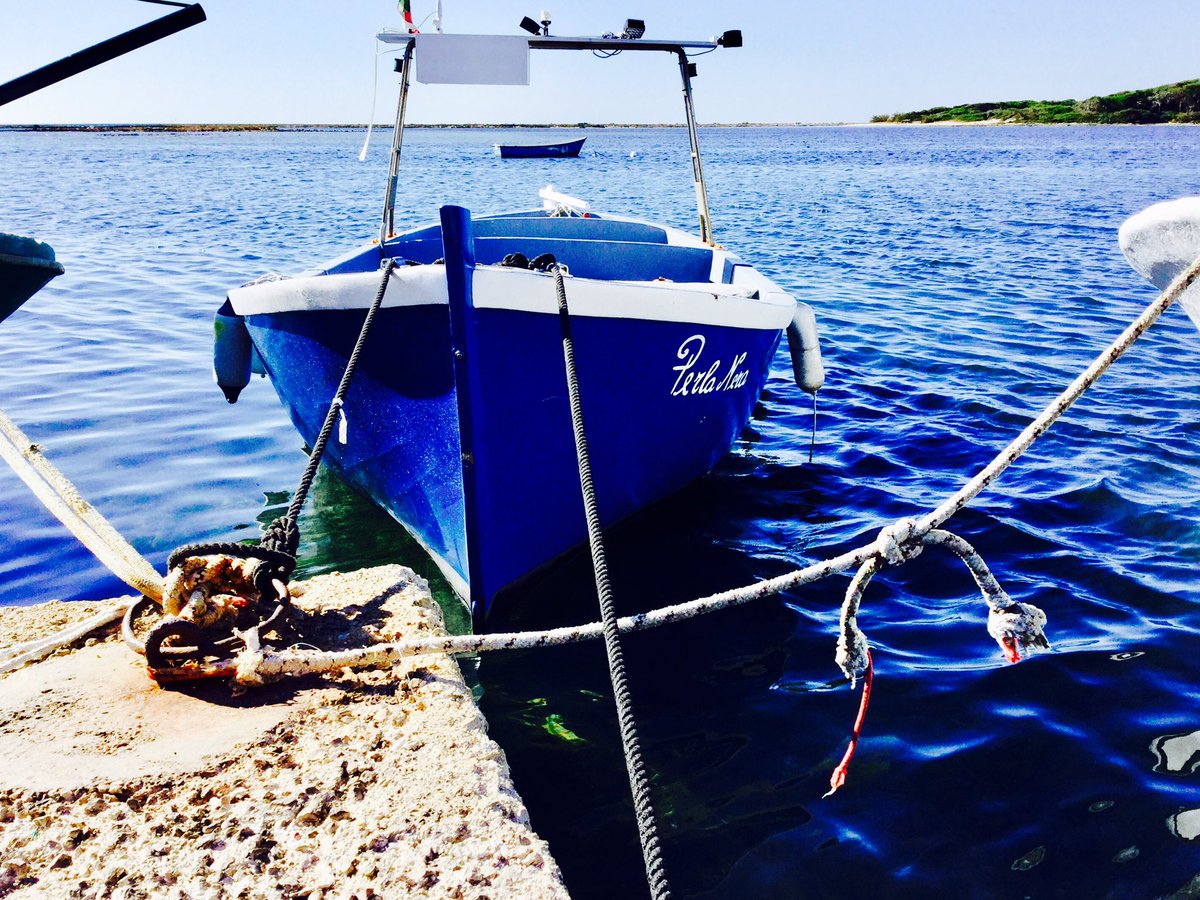 Salento Lovers tweet media