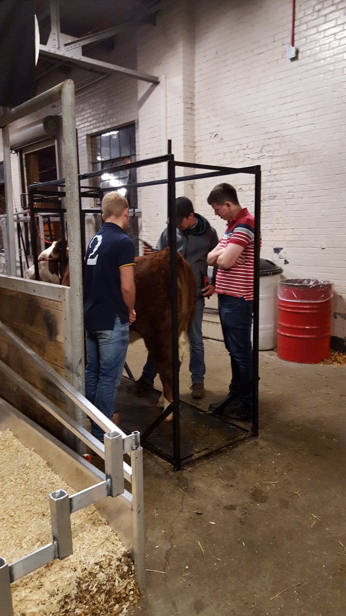 kmansfield0853's tweet photo. Welcome Team United Kingdom to the #NJBHS @RAWFagriculture Thanks Wellington Cty teaching them the ropes @4HOntario https://t.co/LzObmjWKyU