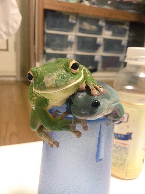 Cuando tu amigo se pone malo en la discoteca y te das cuenta de que esta noche no os vais a convertir