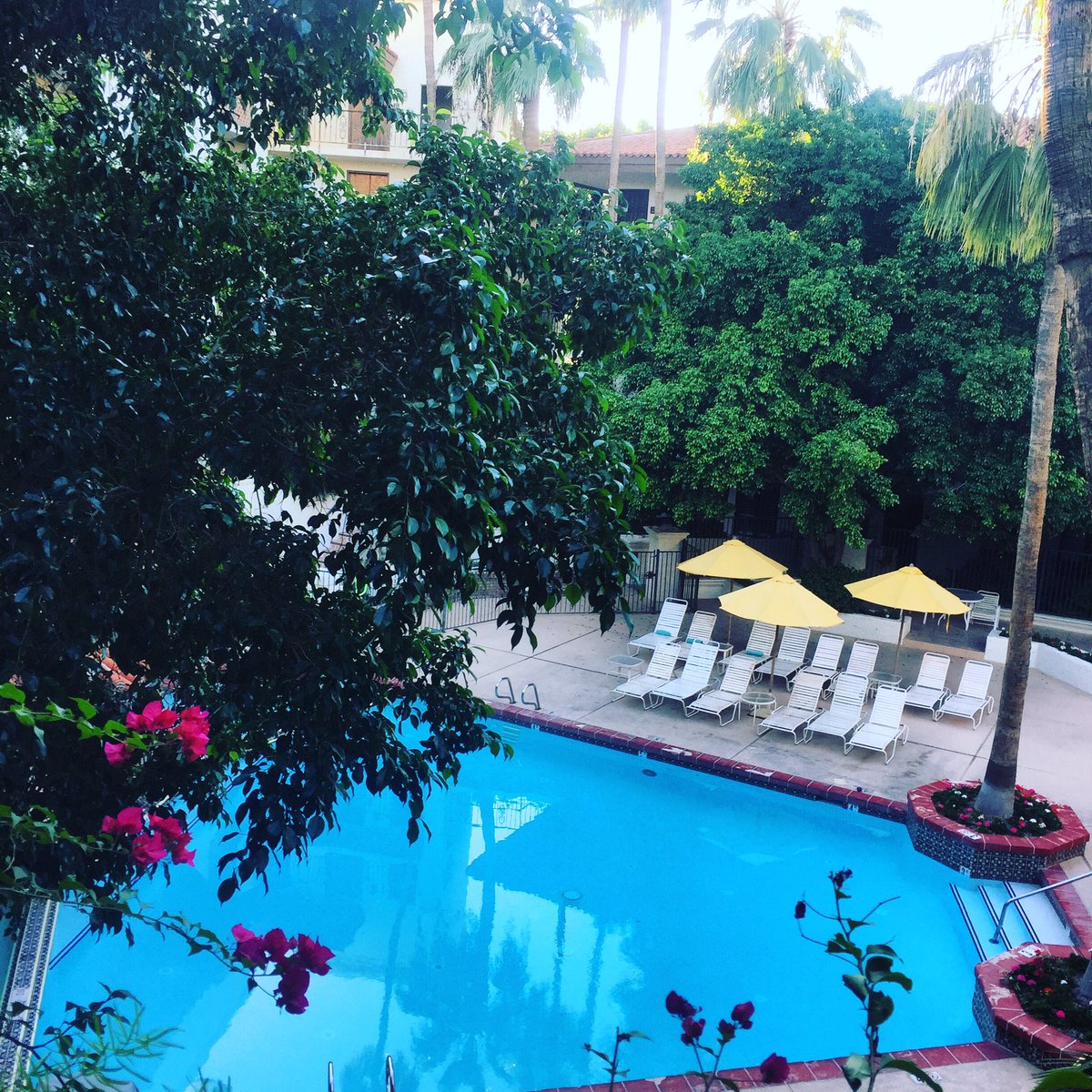 MsSamper's tweet image. Thanks for letting me brag about my kids @ed1stconsulting! The weather was alright, too. #SELinAction