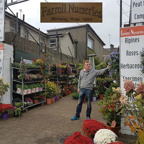 Sincere thanks to Farrell's Nurseries in BlackHall Mullngar for their sponsorship contribution to the <a href="/MgrChrstmsMrkt/">Winterfest Mullingar 2019</a> <a href="/Mgar_Chamber/">Mullingar Chamber</a>