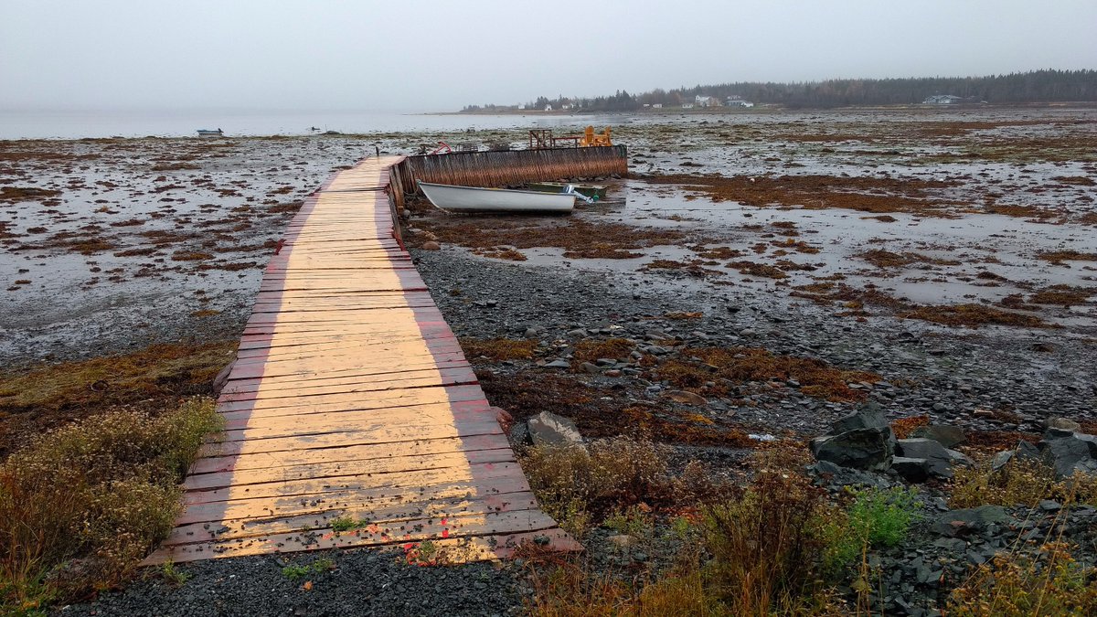 David Boyd snapped this photo of Gander Bay at low tide last evening. This is a phenomenal photo submitted to the WeatherPhotoContest! #nlwx