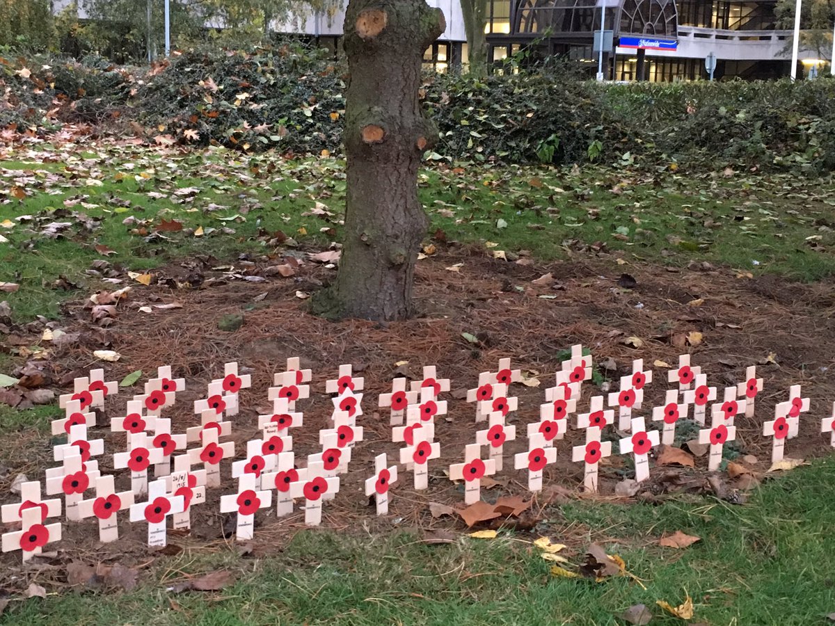 alisond90719748's tweet photo. First poppies in the Memorial Garden #remember a loved one @NBSemployees @North_NBucks @LiamRic34843634 https://t.co/wrIpqpWDTm