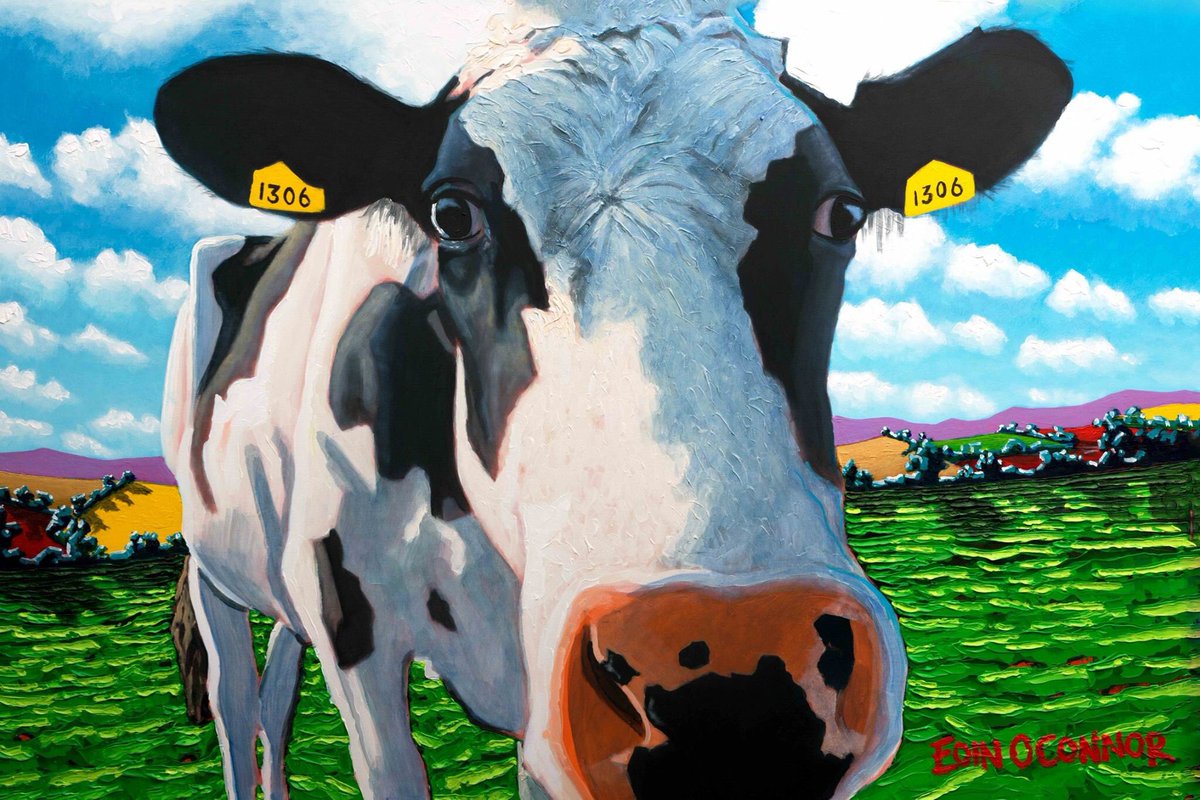 eoin o connor tweet media