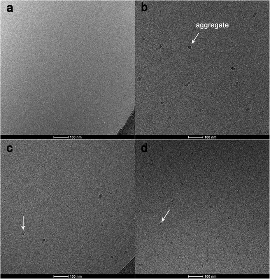 SciReports's tweet photo. Sub-CMC solubilization of #dodecane by #rhamnolipid in saturated porous #media https://t.co/mVh0WtgUyo https://t.co/G0tF5yvBcq
