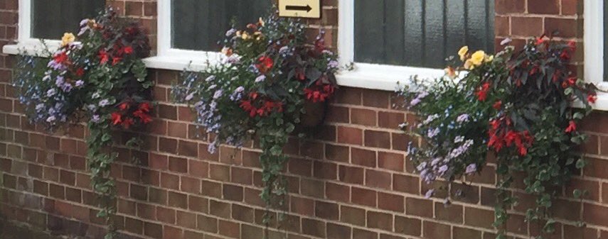 281173carey's tweet photo. Winners - Most Blossoming Business Award, well done Ambler Brothers Funeral Directors, so proud @mycooplife @CarolColeing   @moseleyinbloom https://t.co/ulpIlZ24tD