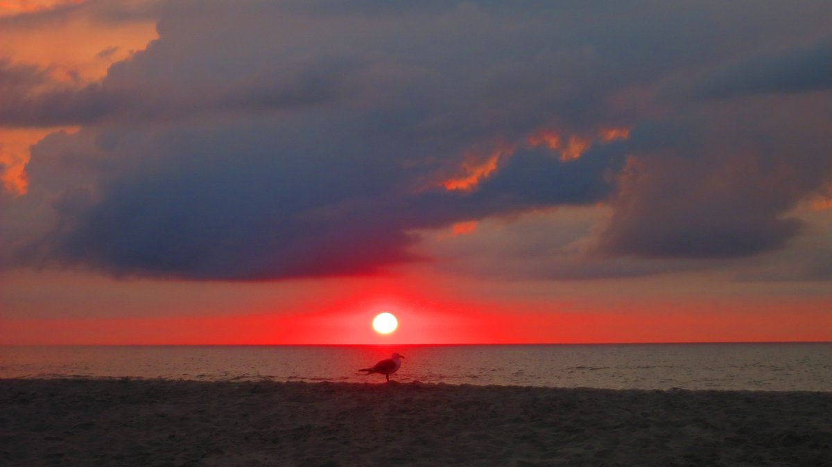 Osintrescue's tweet photo. Need a break from the craziness? Here's a sunrise photo from Long Beach Island, New Jersey last summer. Take a deep breath. Enjoy! https://t.co/euozsTPrIO